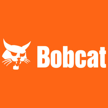 Bobcat